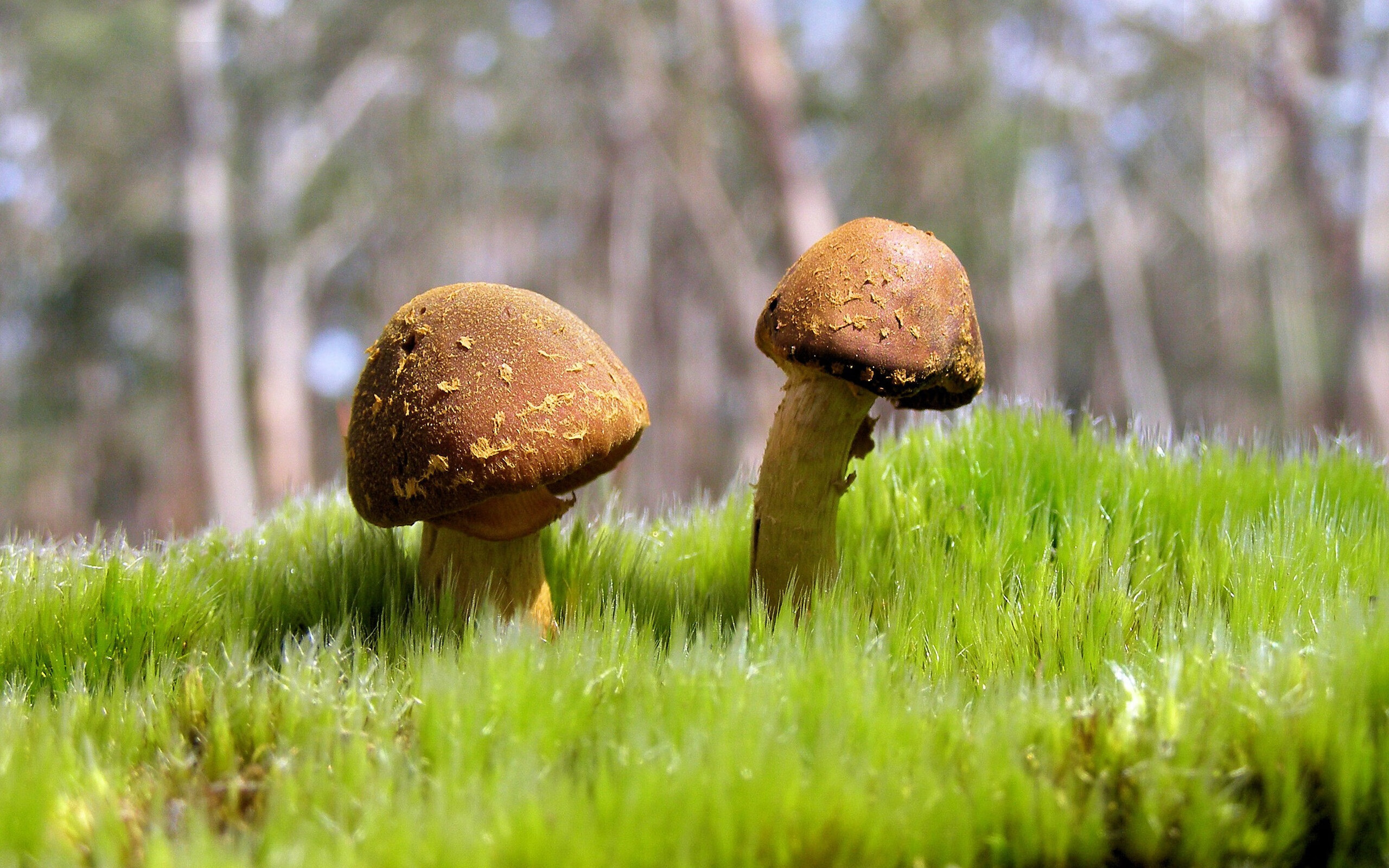 九游登录中心-【丁俊晖】与奥沙利文的“巅峰对决”，谁能称霸？，丁俊晖和奥沙利文交手记录和比分