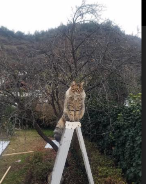 台球运动的公益推广：助力青少年成长，台球推广文案