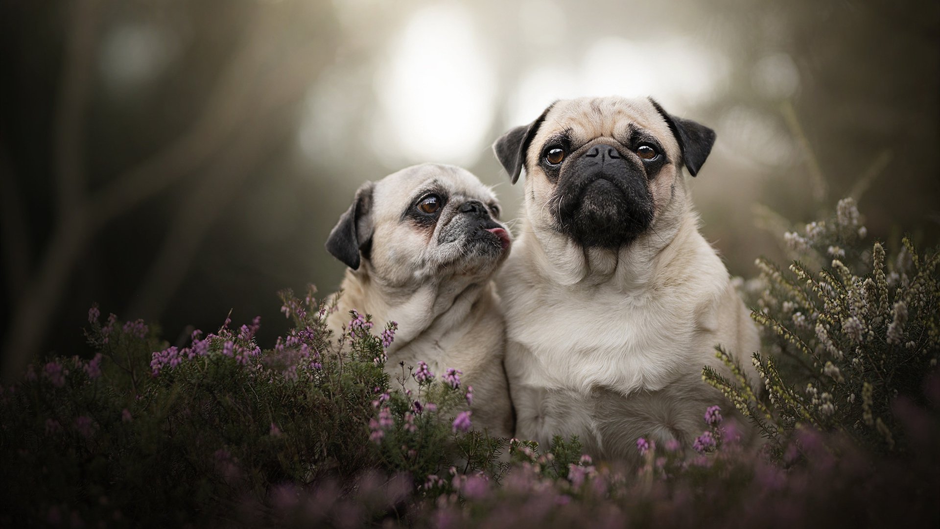 塞内加尔队中场贝尔特拉在巴黎奥运会上展现出强大的进攻组织能力