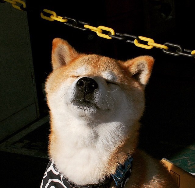 太阳队迎战联盟新秀，期待稳赢，太阳队kidd